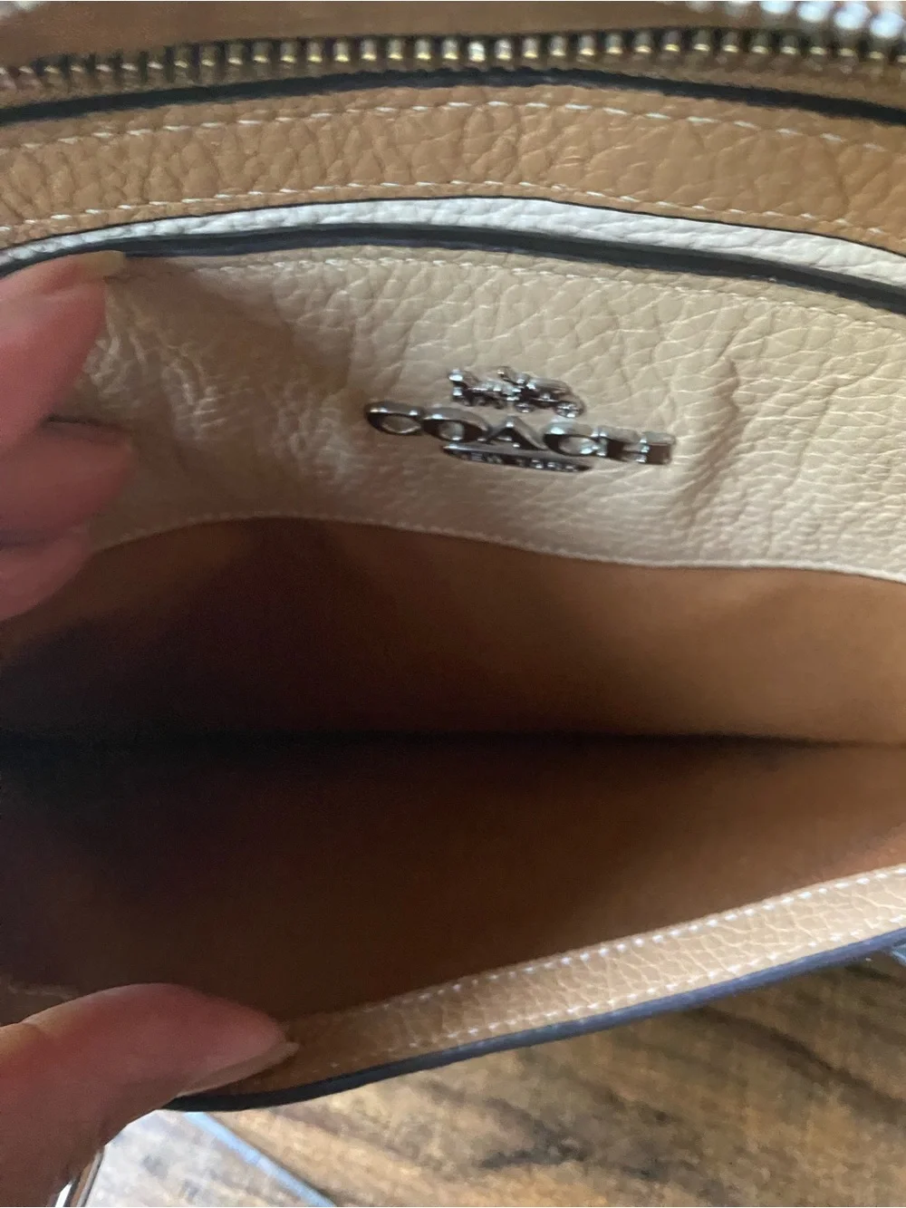 Coach Darcie Leather Carryall